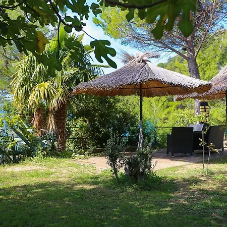 Villa Exotica *