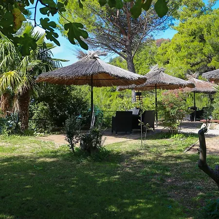 Exotica Villa Zaboric