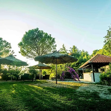 Exotica Vila Žaborić